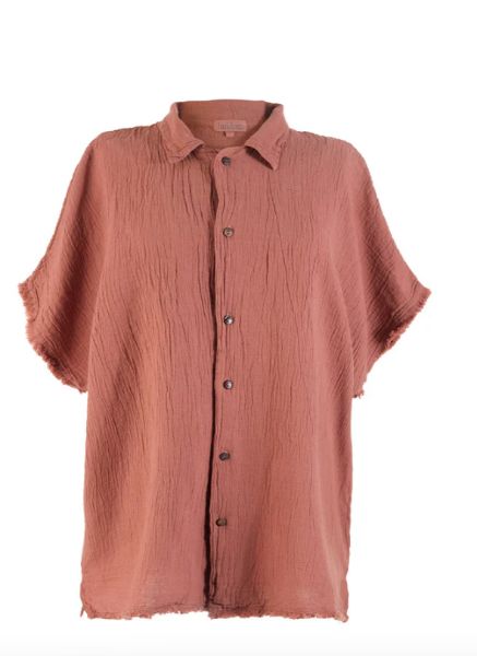 ROMEO GÖMLEK T1551 FINDIKKABUGU resmi